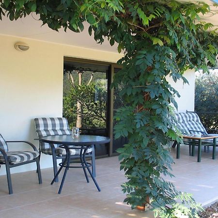 Hillcrest Mountain View Retreat Bed & Breakfast Crystal Creek Dış mekan fotoğraf